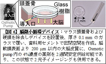 41moyKxnyvL._AC_SY200_QL15_.jpg